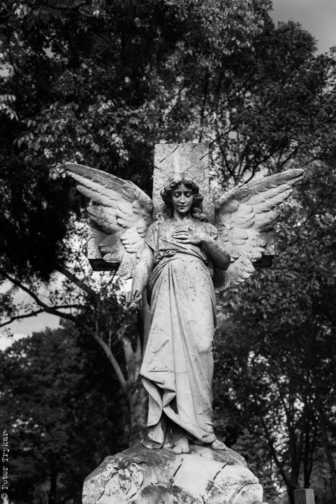 Angel Saints and Death-10