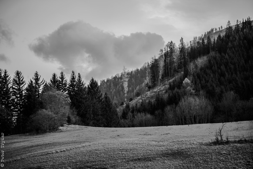 Landschaft Mariazellerland-3